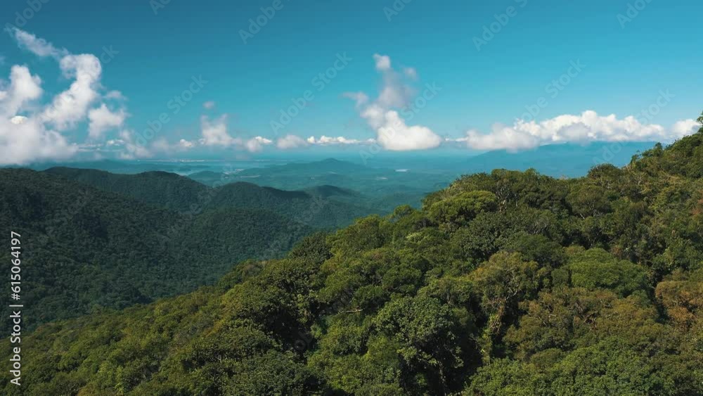 Drone aerial view of summer green trees in a amazon tropical forest in Brazil. Drone aerial view of summer green trees in a amazon tropical forest in Brazil.