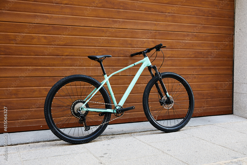 Fototapeta premium mtb bike leaning against the wall