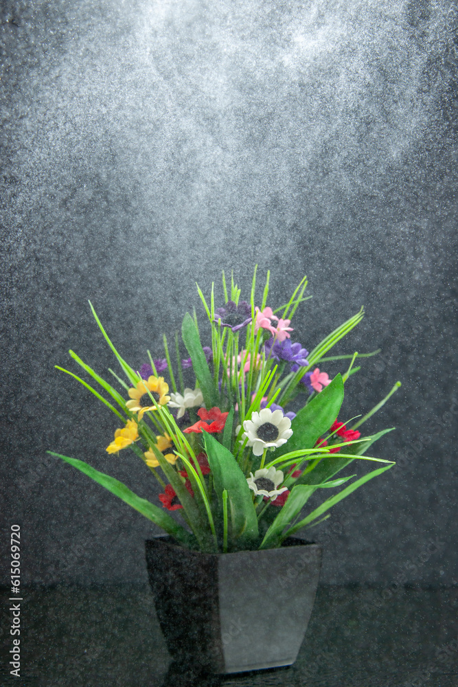 Top view of beautiful flower pot on light on dark background with free space