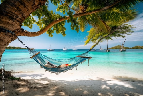 Tropical beach with hammocks with clear sky © Creative Clicks