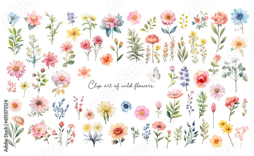 Fototapeta Naklejka Na Ścianę i Meble -  水彩画のお花のクリップアート