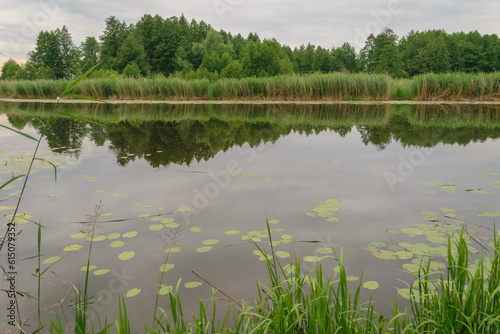 Jezioro, w tafli wody odbija się drugi brzeg photo