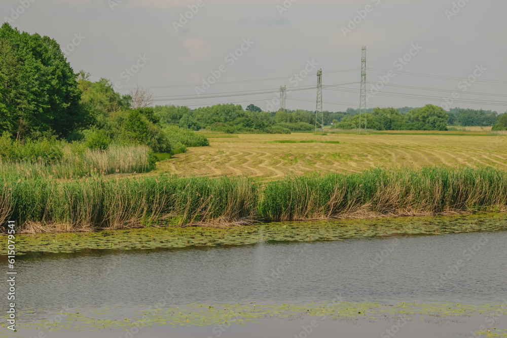 Krajobraz polskiej wsi, staw porośnięty liliami wodnymi za którym rozciąga się widok na skoszoną łąkę  - obrazy, fototapety, plakaty 