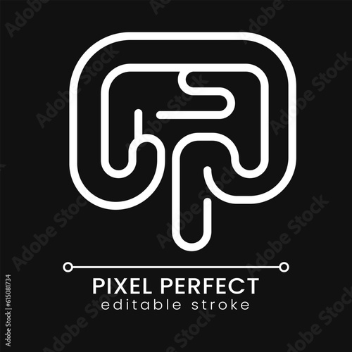Human bowel pixel perfect white linear icon for dark theme. Gastrointestinal tract. Digestive system. Thin line illustration. Isolated symbol for night mode. Editable stroke. Poppins font used
