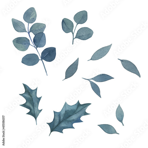 Watercolor illustration blue tender leaves. Hand drawn set for design, wraping paper