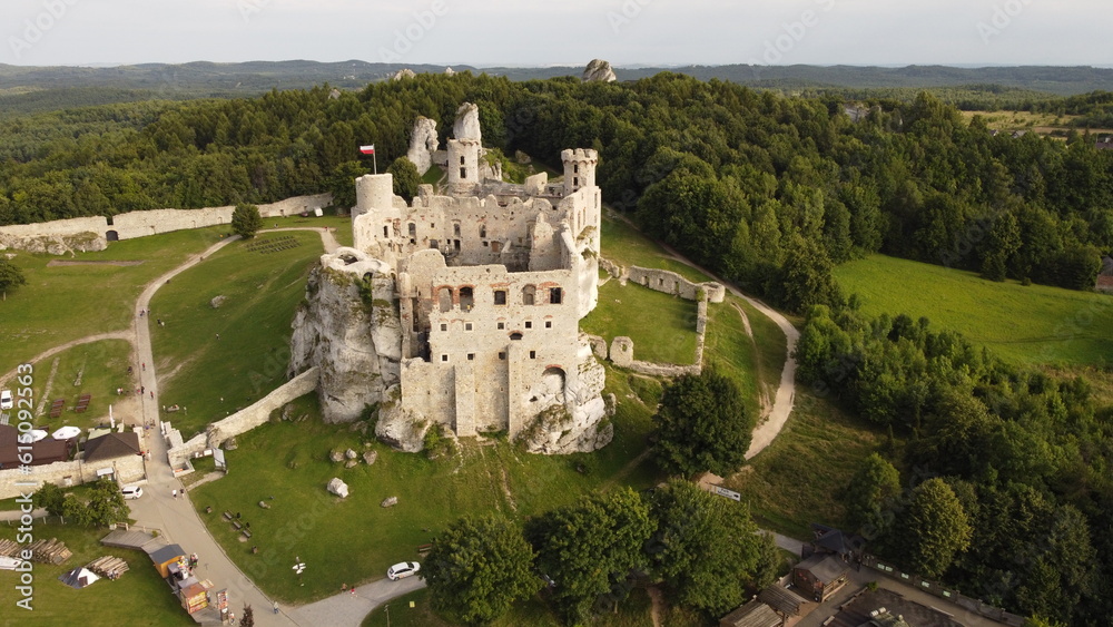 Obraz premium ruins of a castle in Poland along the trail of eagles' nests
