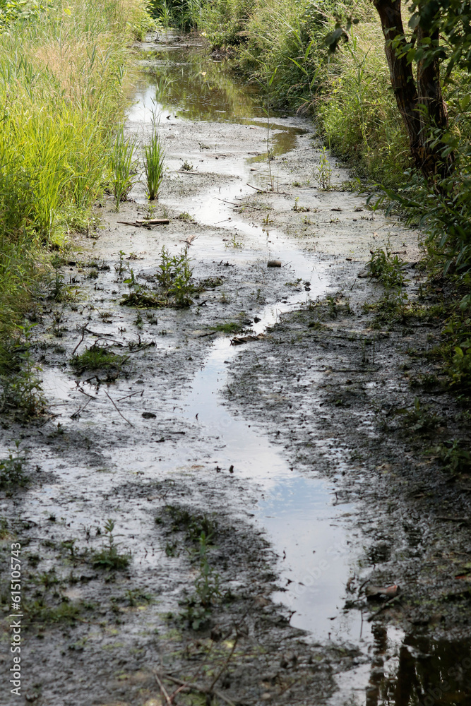 Obraz premium crespin 