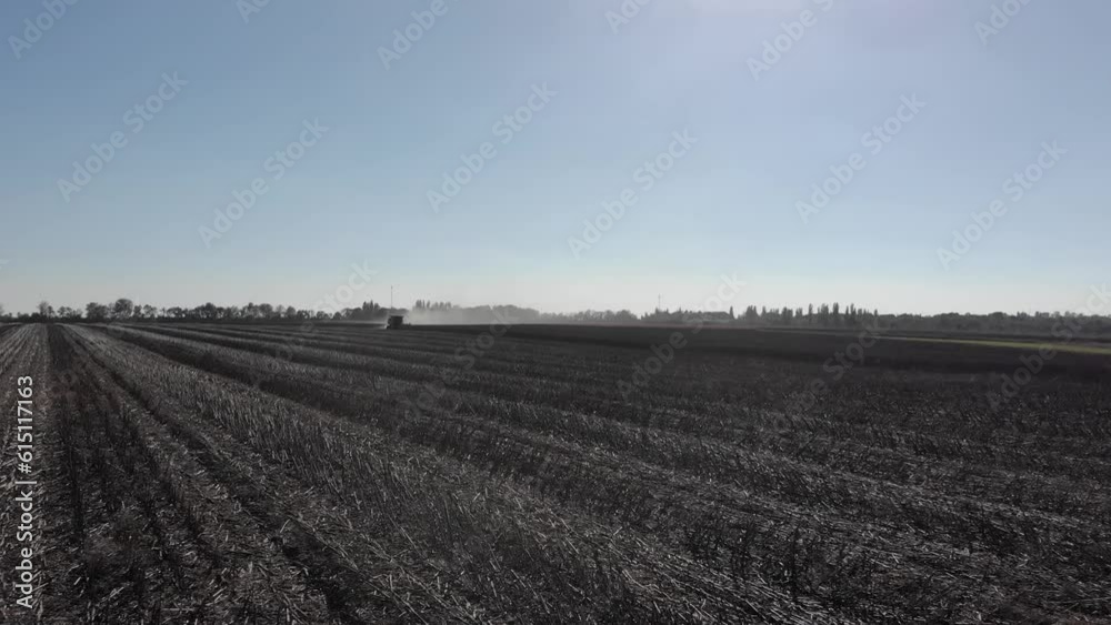Sunflower harvest with green combine and tractor during the war with Russia in 2022 Sunflower harvest with green combine and tractor during the war with Russia in 2022