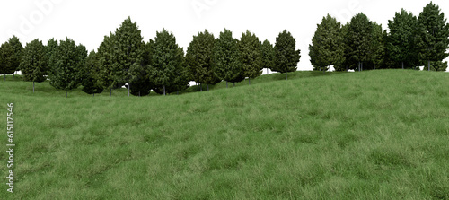 Realistic grass hill and forest tree line. 3d rendering of isolated objects.