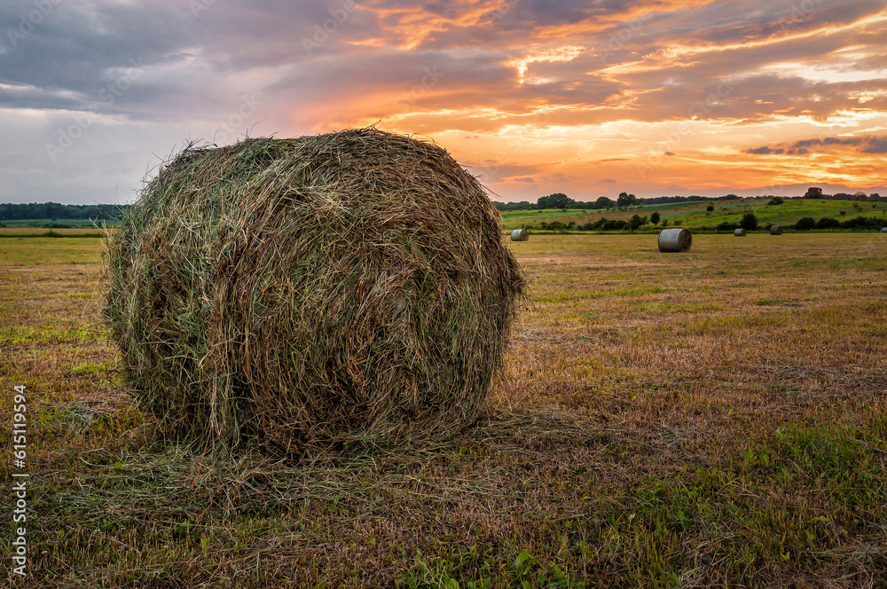 Agricultural field with bales at sunset