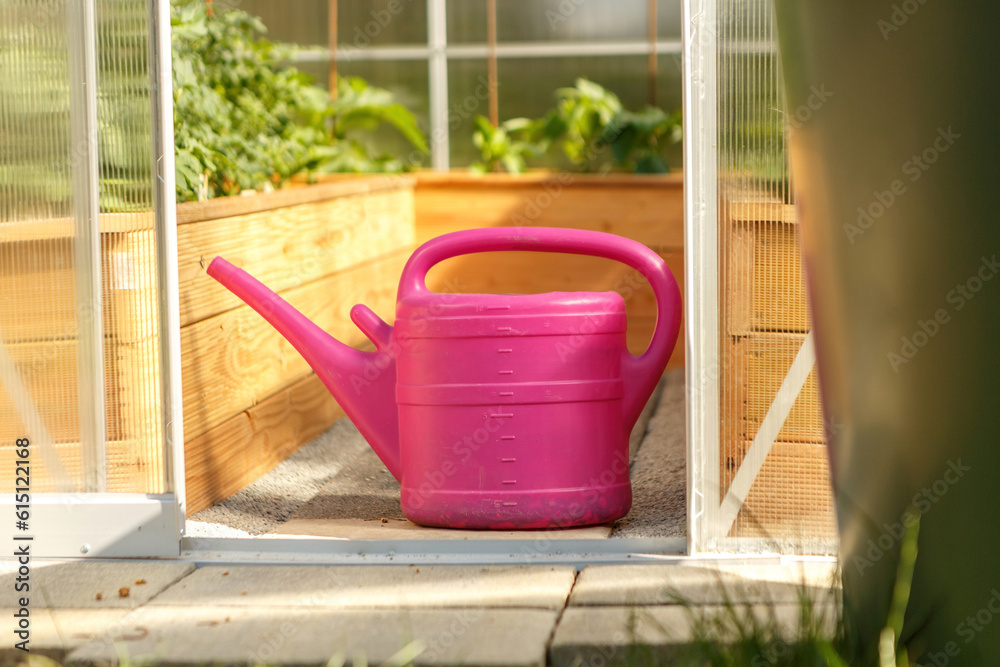 Greenhouse insights: View at beds and vegetable plantlings in a conservatory in a garden outdoors Greenhouse insights: View at beds and vegetable plantlings in a conservatory in a garden outdoors