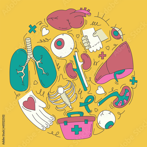 A set of human organs, which depicts the lungs, heart, liver, kidneys, eyes, intended for donation; set for scientific posters, infographics, presentations. Vector illustration in doodle flat style.
