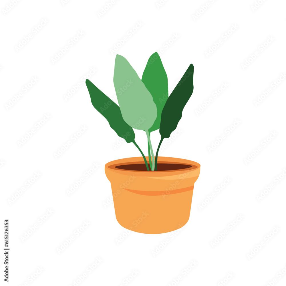plant in flowerpot plant in flowerpot