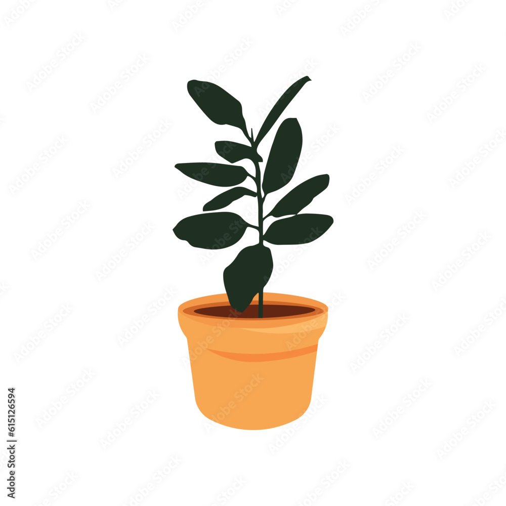 plant in flowerpot plant in flowerpot