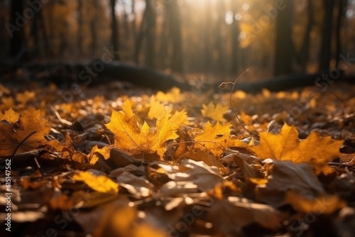 Autumn nature background with orange and yellow fallen maple leaves in sunlight. Ai generative.