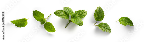 fresh mint leaves collection with real transparent shadow isolated on transparent background  png food design element