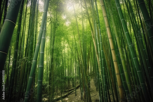 Generative AI. bamboo forest scenic background