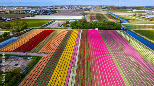 The Top view. of Tulip barn with a colorful garden on Netherland