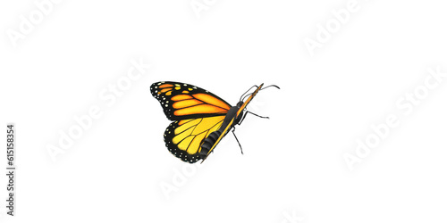 Monarch Butterfly isolated on a Transparent Background