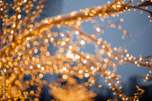 Un focus golden lights of a garland on a tree branch. Beautiful background for the holidays © Anastasia Studio