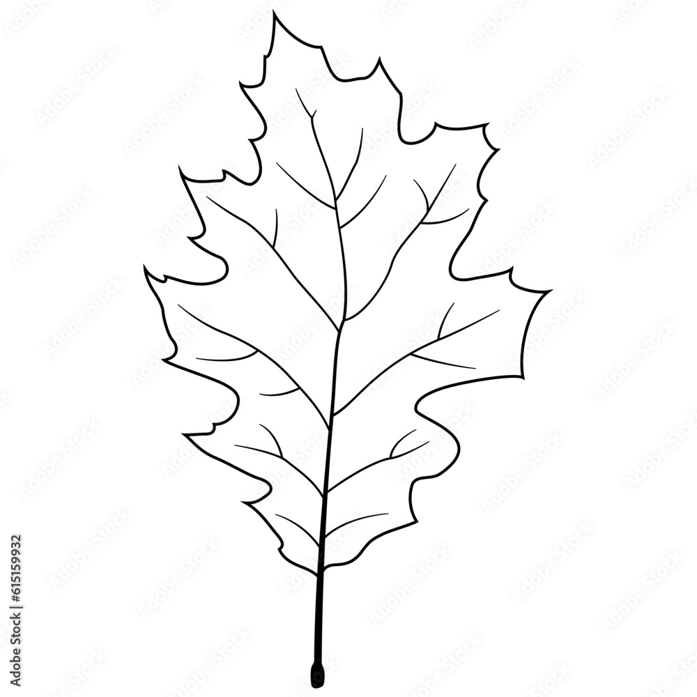 Fototapeta premium Leaf icon vector. Plant illustration sign. Tree symbol or logo.