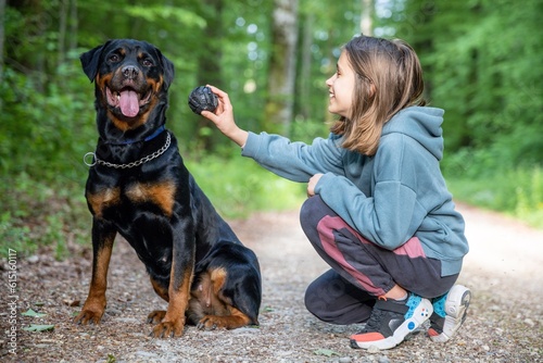 A little girl plays with a ball-toy with her dog of the Rottweiler breed on a path in a forest © YouraPechkin