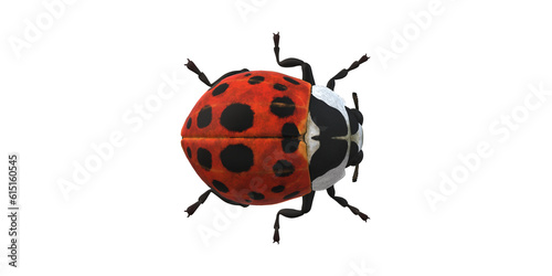 Lady Bug isolated on a Transaprent Background