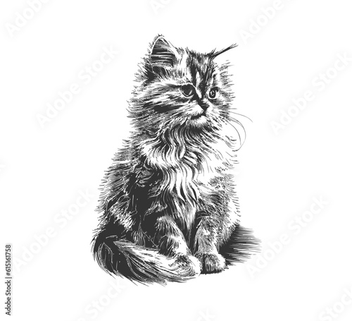 Fluffy cat sitting hand drawn sketch Pets. Vector illustration desing.