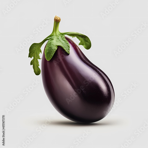 Eggplant isolated on white background for natural brush concept