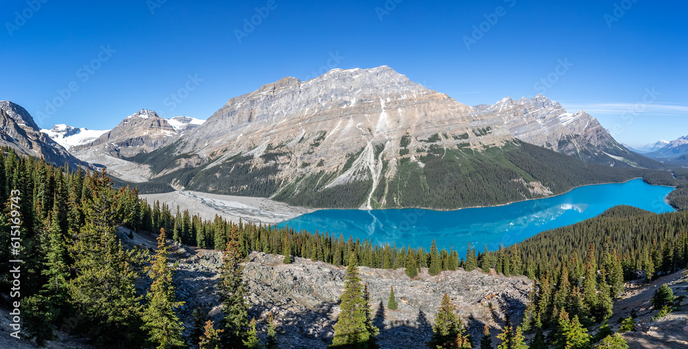 Panoramic landscape of Peyto Lake in Banff National Park, Alberta, Canada