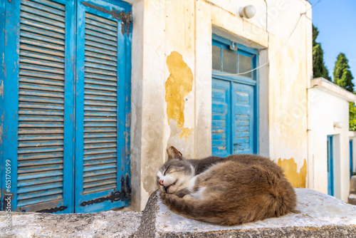 Obraz na płótnie sleepy cat in the midday heat on the island Paros in Greece w salonie