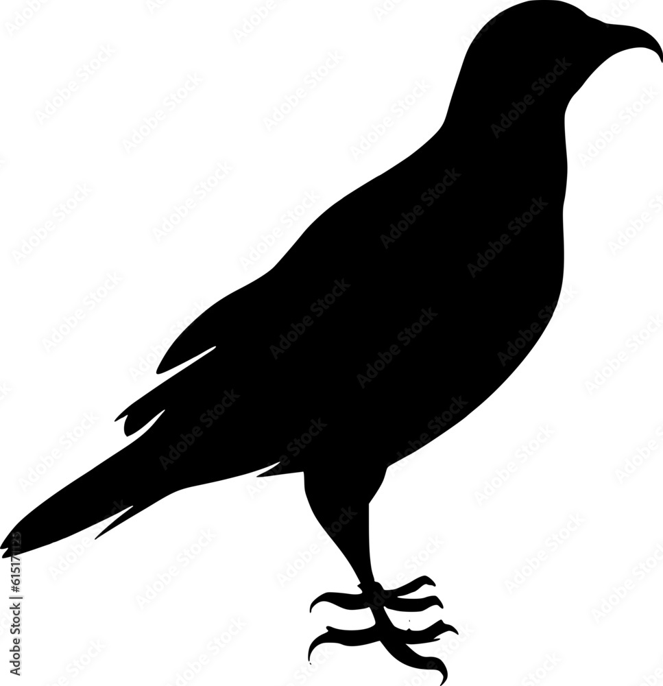Fototapeta premium Crow Bird silhouette outline shadow 