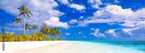 Idyllic Beach with Palm Trees at the Maldives, Indian Ocean.