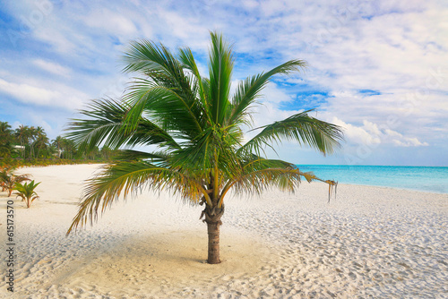 Idyllic Beach with Palm Trees at the Maldives  Indian Ocean