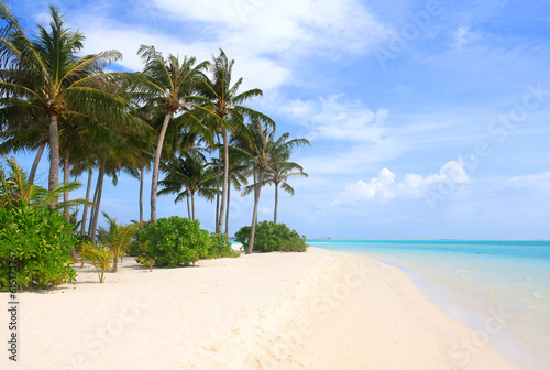 Idyllic Beach with Palm Trees at the Maldives  Indian Ocean