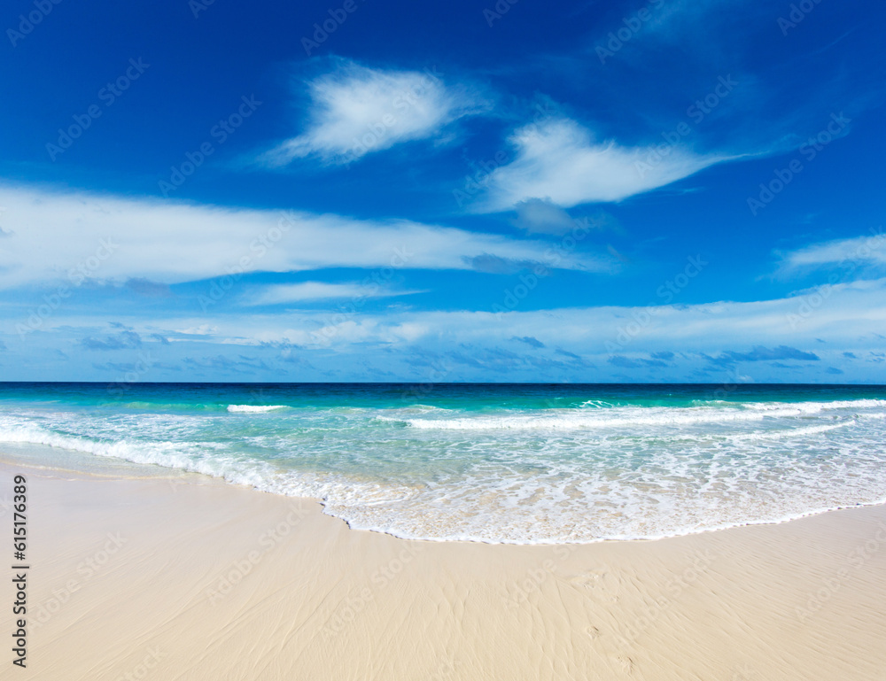 beach and tropical sea . nature background