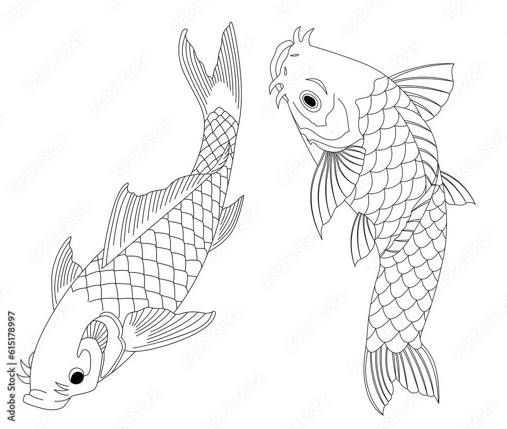 Fototapeta premium illustration of a koi fish tattoo japan style line art