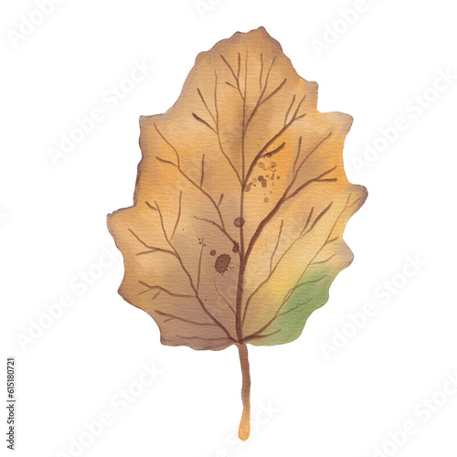 Watercolor Silver Poplar Leaf in Autumn