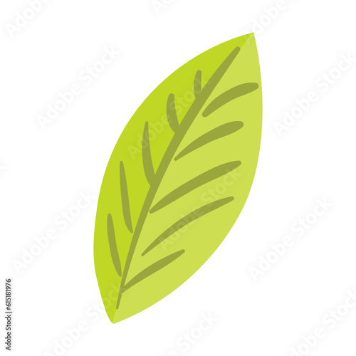 Leaf hand drawn illustration. Flat cartoon style design, isolated vector. Tropical foliage, greenery, rainforest plant, jungle flora, botanical, floral element