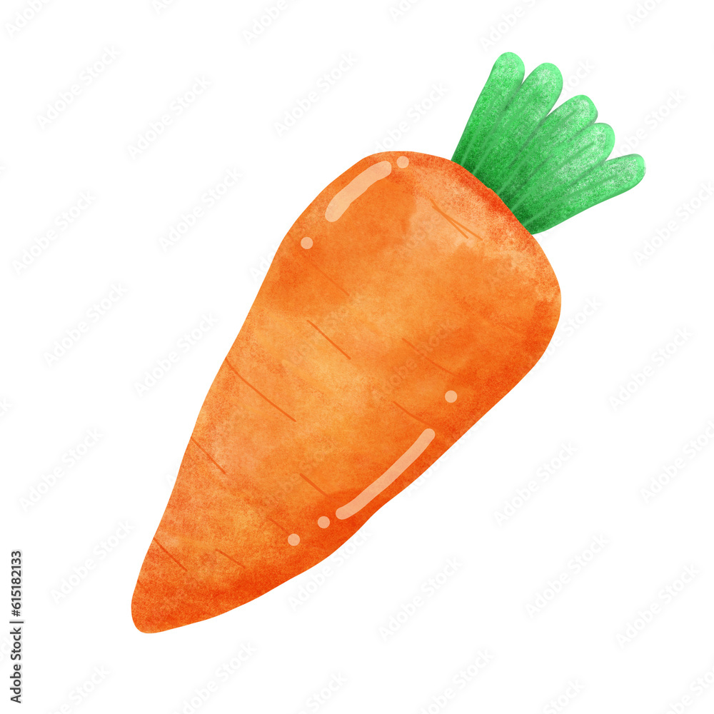 carrot isolated on white