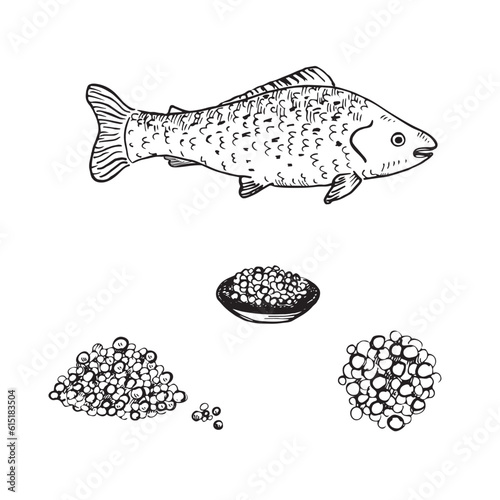Caviar Salmon fish sturgeons hand drawn vector set. Black and white illustration of a heap of caviar, caviar in a plate, red fish. Design element of seafood and delicacy on isolated white background 