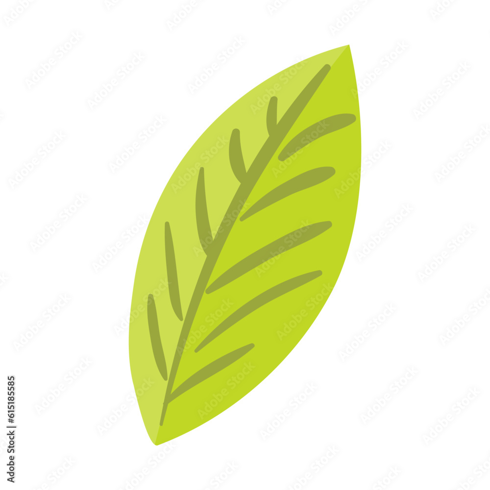 Leaf hand drawn illustration. Flat cartoon style design, isolated vector. Tropical foliage, greenery, rainforest plant, jungle flora, botanical, floral element Leaf hand drawn illustration. Flat cartoon style design, isolated vector. Tropical foliage, greenery, rainforest plant, jungle flora, botanical, floral element