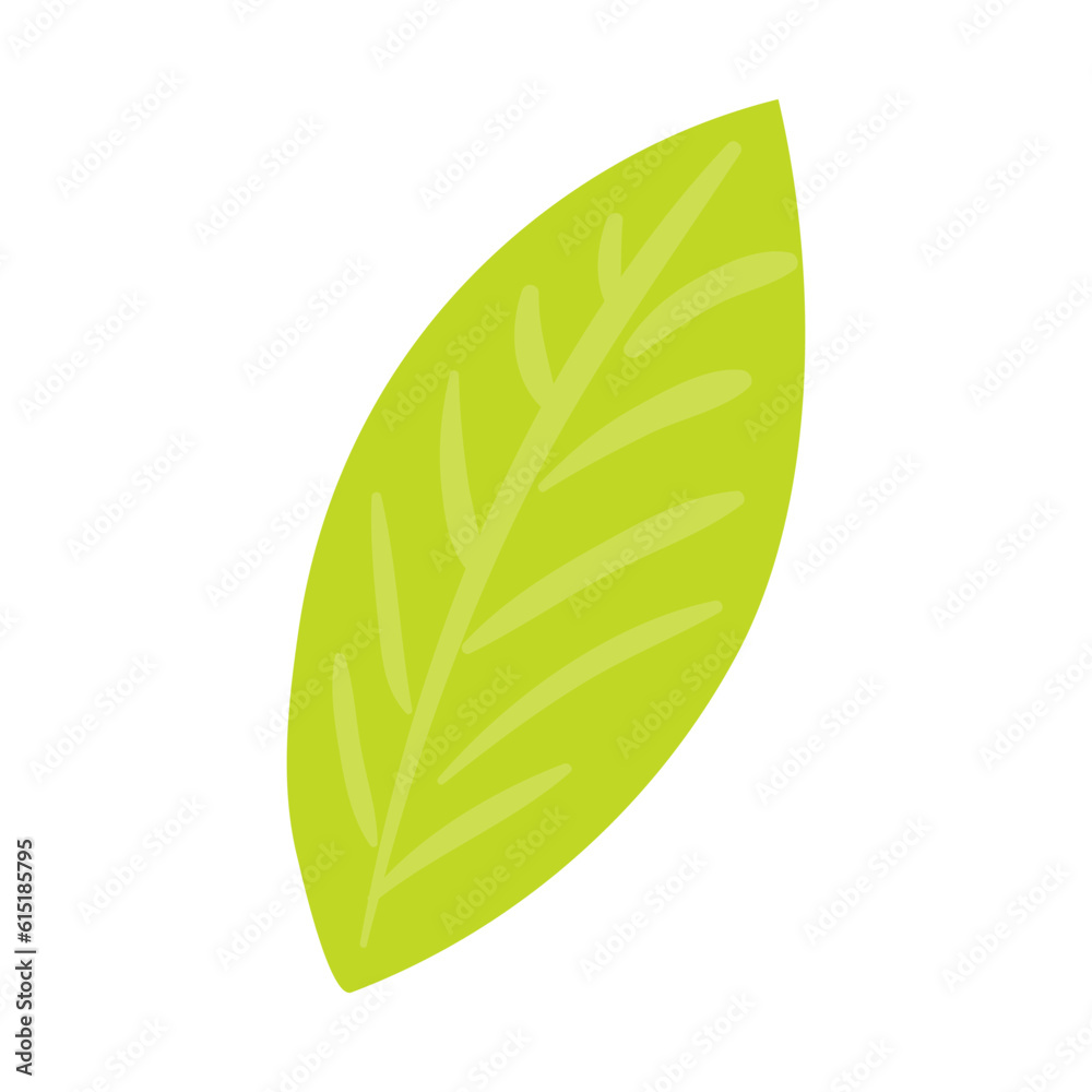 Leaf hand drawn illustration. Flat cartoon style design, isolated vector. Tropical foliage, greenery, rainforest plant, jungle flora, botanical, floral element Leaf hand drawn illustration. Flat cartoon style design, isolated vector. Tropical foliage, greenery, rainforest plant, jungle flora, botanical, floral element