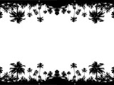 beautiful black silhouette of tropical palm trees