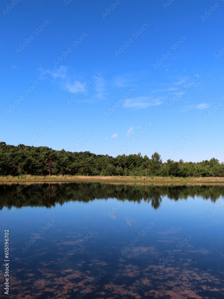 lake in the forest lake in the forest