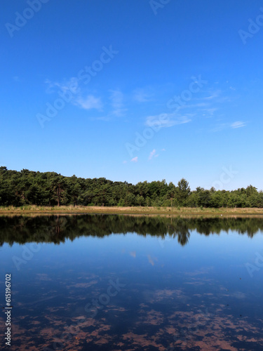 lake in the forest