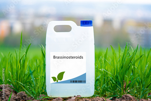 Brassinosteroids plant hormones that promote cell elongation and division, enhance stress tolerance, and regulate plant development. photo
