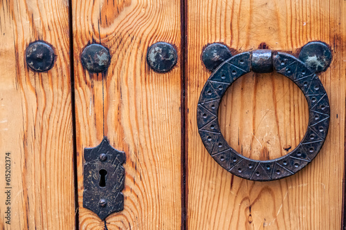 Beautiful artwork wooden garage door.