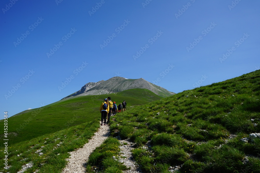 Hikers walking in the mountain in a sunny day