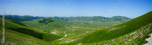 Castelluccio valley view in a summer day  Norcia  Sibillini National Park  Umbria  Italy